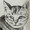 ユーザーのアイコン画像