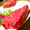 Mocchi1225