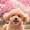 ユーザーのアイコン画像