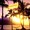 Ryu_2019