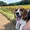 ビーグル犬ぽぽちゃ