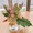 Bougainvillea123