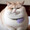 外食猫
