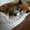 ユーザーのアイコン画像