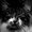CATSEYE