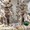 ユーザーのアイコン画像