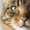 catsky2828