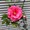 ユーザーのアイコン画像