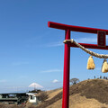 MoritA
