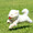 seki10