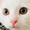ユーザーのアイコン画像