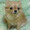 yuich545360