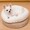 ユーザーのアイコン画像