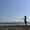 バクショクアリンコ