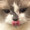 ユーザーのアイコン画像