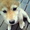 時は徒然なるままに
