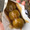 cococham