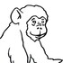 チンパンジー0625