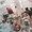 ruu_v