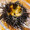foodie_qp