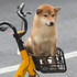 伊弉冉一二三76741