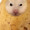 ユーザーのアイコン画像