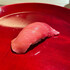 maguro sushi