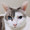 ユーザーのアイコン画像
