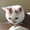 きなこ2711