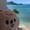 やしぐみ
