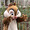 Asaakai