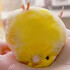 cino