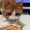 たぷちゃんだよ