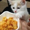 ケンシロウ&ユリア