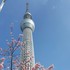 日本酒は水