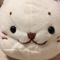 しろたんママだよ