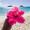 alohaaloha2525