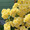 ユーザーのアイコン画像