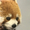 ユーザーのアイコン画像