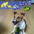 Kyle_JRT