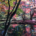 新宿ハンバーガー好き