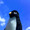 アルコールペンギン