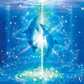 Blue Dolphin