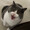 ユーザーのアイコン画像