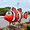 Arale8888