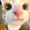 ユーザーのアイコン画像