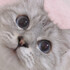a6aa5a
