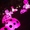 ハチミツ☆ボーイ