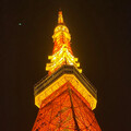 Hitsujinezu