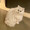 ユーザーのアイコン画像